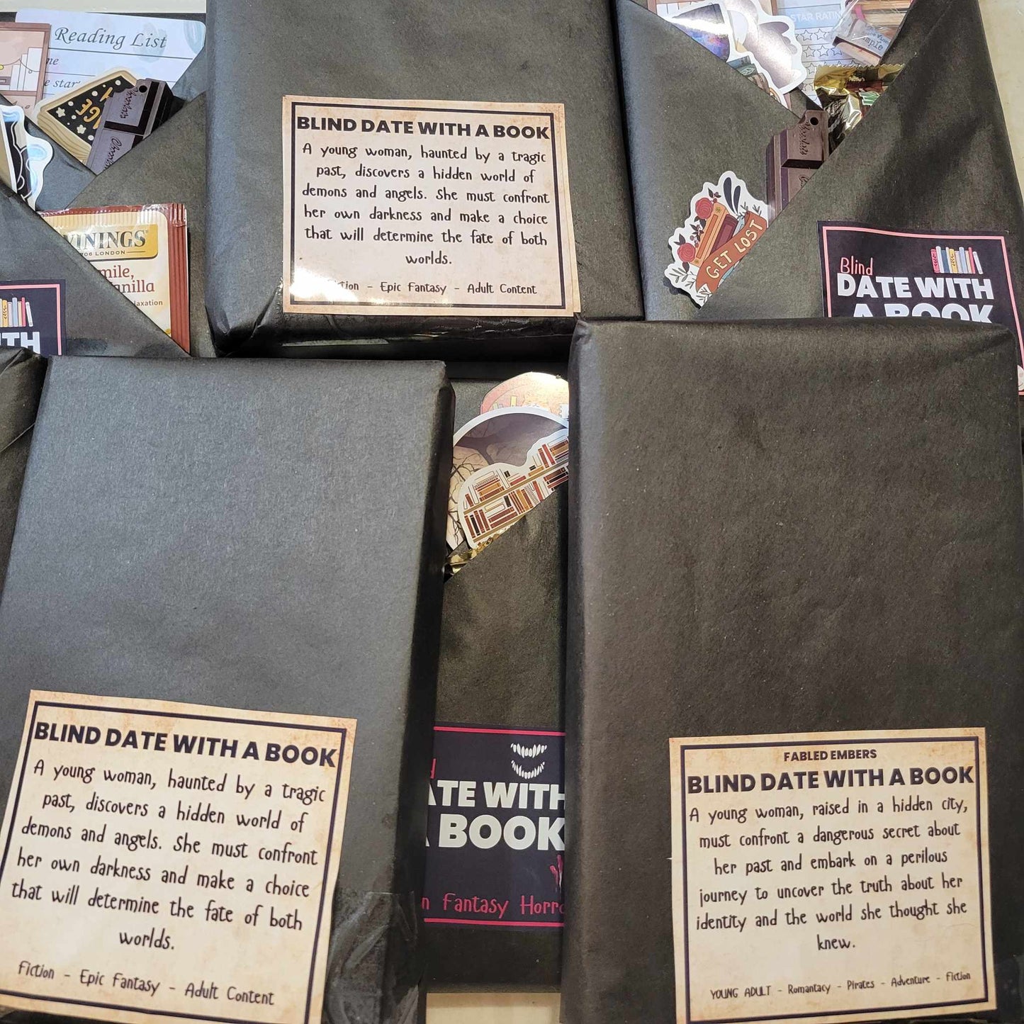 (UPDATED 9/13/25) DATE WITH A BOOK (MYSTERY WRAPPED BOOK) -- YOU CHOOSE THE BOOK BASED ON THE DESCRIPTION!